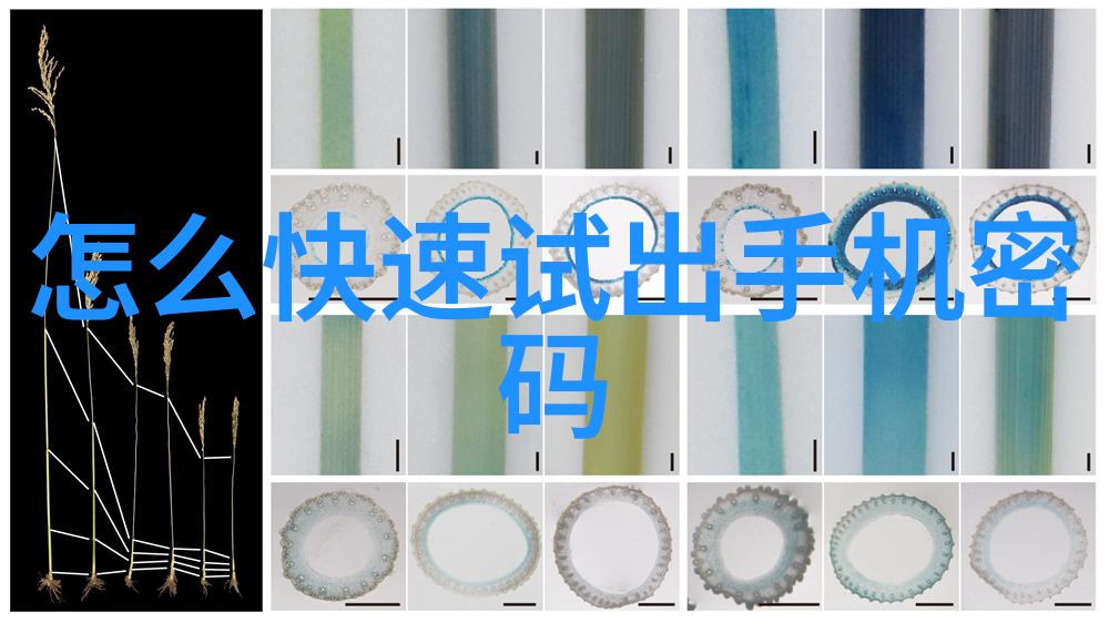 大型污水处理一体化设备高效污水处理解决方案