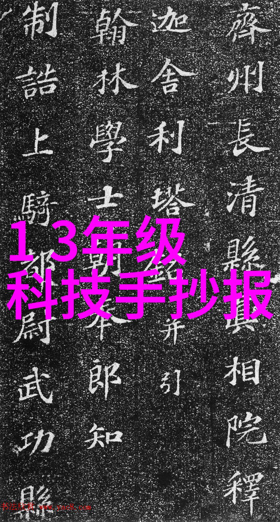 我是促进剂激发潜能的秘密配方