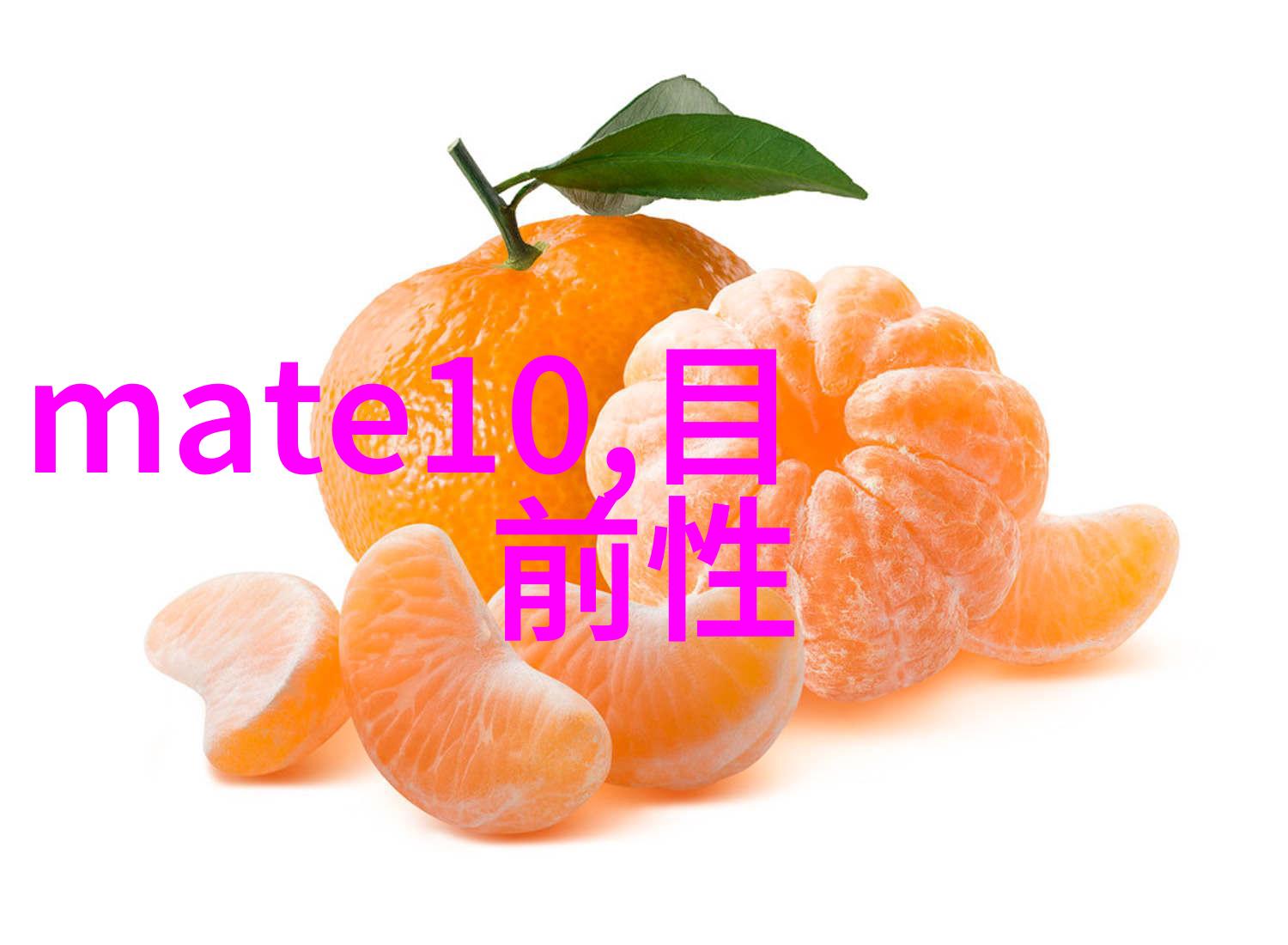 固定床反应器的优化设计与实践
