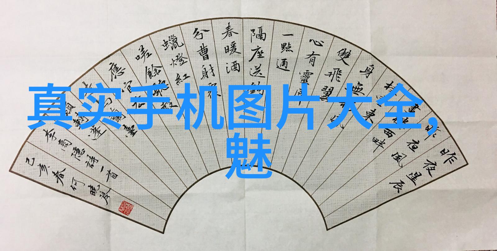 不锈钢喷头精准水力持久耐用