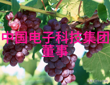 如何进行化工制冷设备的日常维护以确保其高效运行