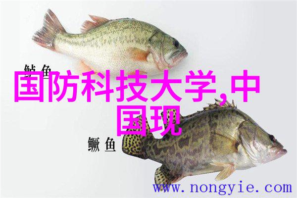 魔道祖师穿越千年诠释命运
