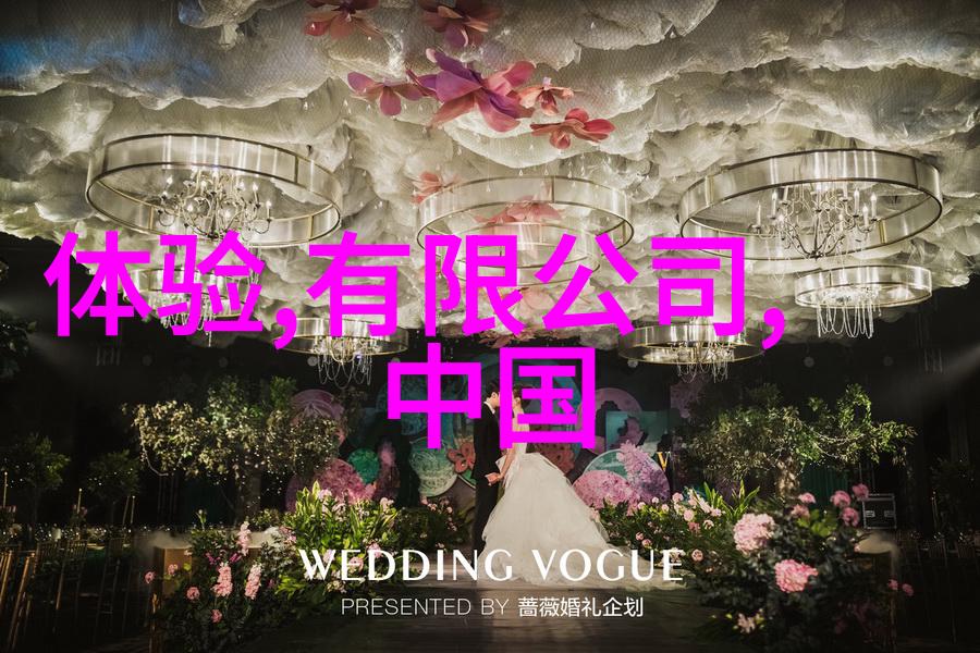 螺旋升腾的物流奇迹机械之心的旋转篇章