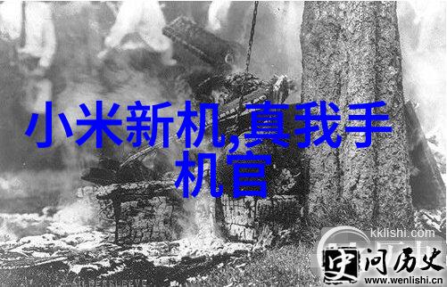 新疆美地装饰乌鲁木齐市内最具创意的室内设计师团队