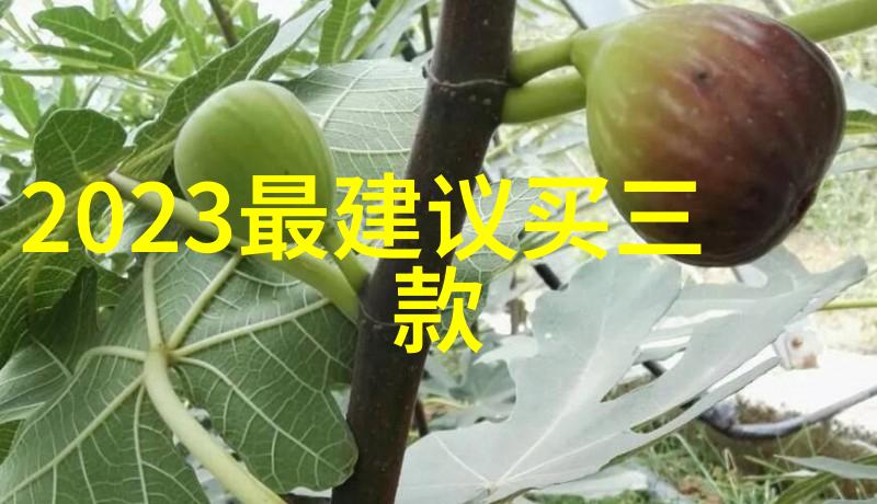 铝单板我的家里的秘密武器