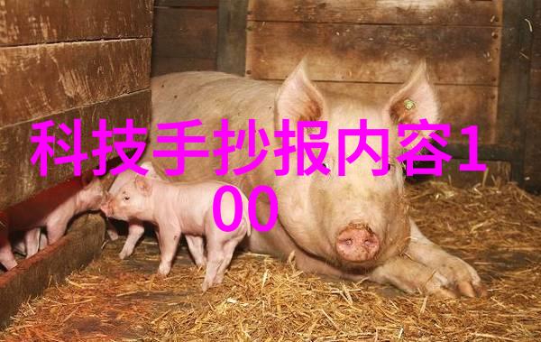 工作汇报概述