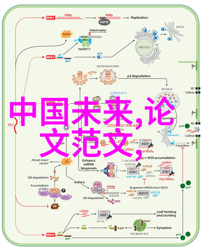 晶体之韵芯片的基本结构