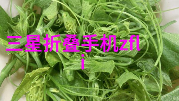 维护与清洁三瓣六瓣填料的重要性及其方法