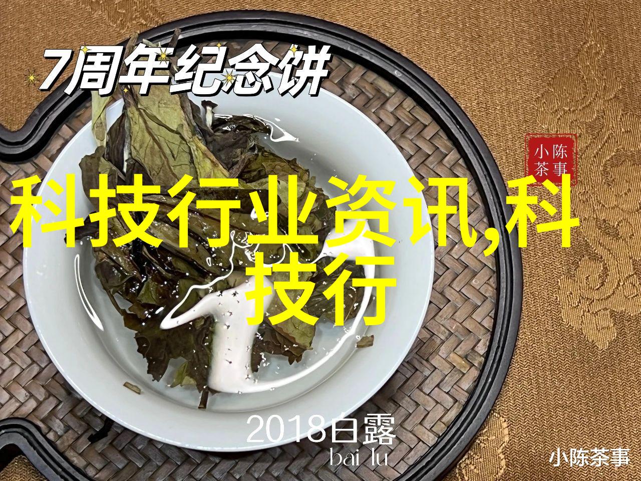 采用不锈钢filling net优化水处理系统性能分析报告