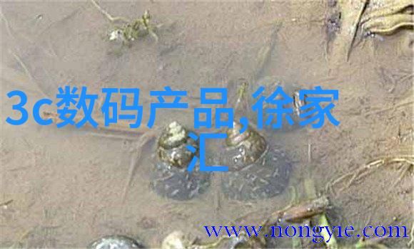 专利之窗从文件堆中寻找创新梦想