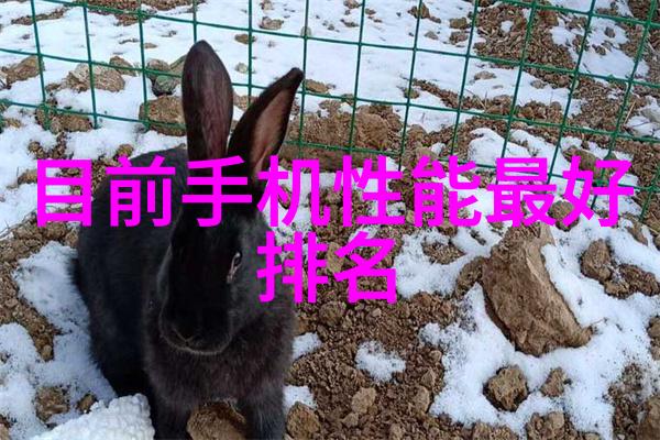 大型微波干燥设备高效能物料处理系统