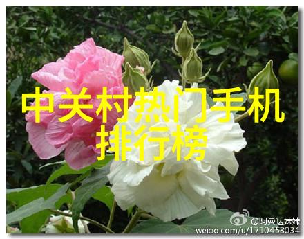 污水处理设备如何确保环境友好