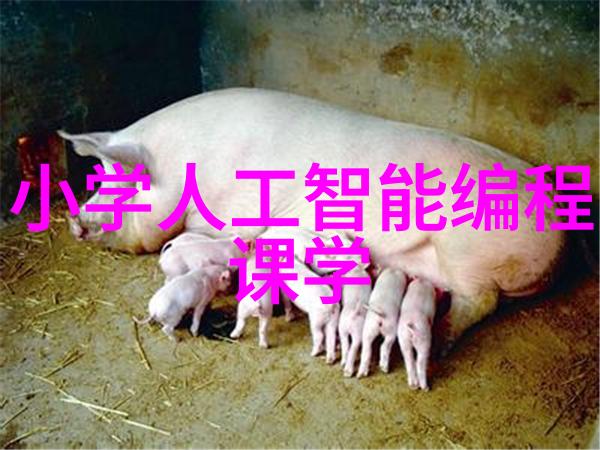 英语课强插提升英语水平的有效方法
