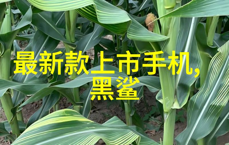 青春赌约16岁女生的扑克大冒险