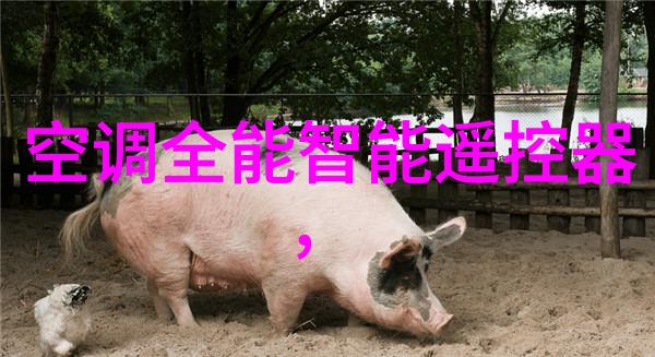 姐姐真漂亮5电视剧我的心动之旅
