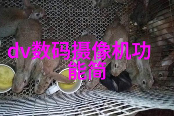 螺旋板冷凝器高效换热的绿色选择