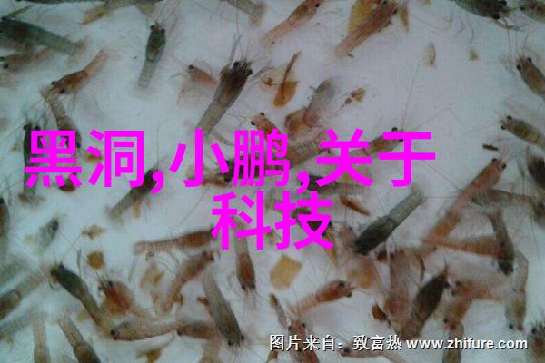 星闪技术解密背后的科学原理与应用前景