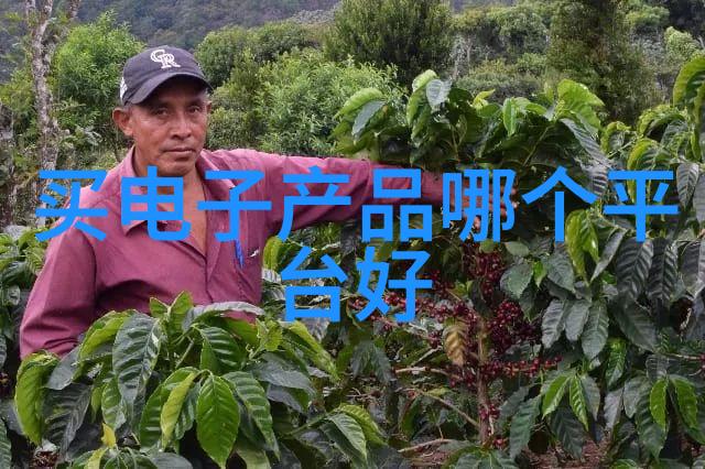 从未见过如此细腻的手法深入浅出了解真上海洗霸