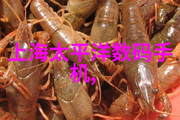 在不同气候条件下是否需要特殊设计的农村自来水处理方案