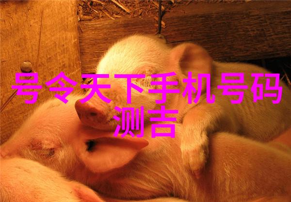 智能设备行业发展我眼中的智慧革命