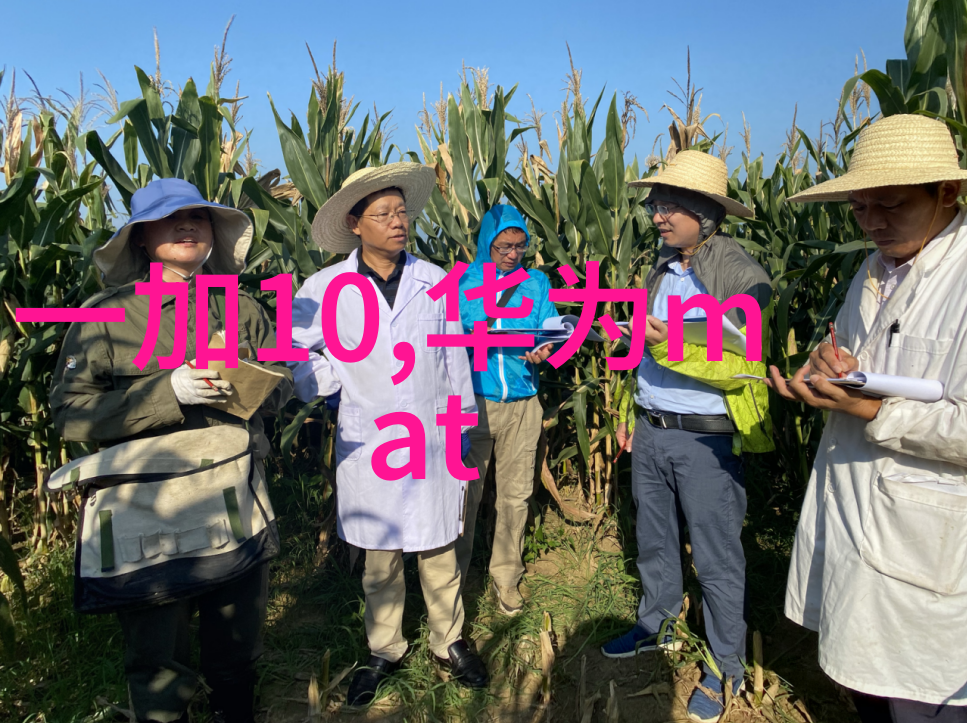 高压蒸汽灭菌锅操作指南保证实验室设备安全使用