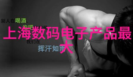 煤泥干燥设备燃烧前夜的技术革新