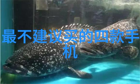 攀登巅峰一个接一个上我成就不朽传奇