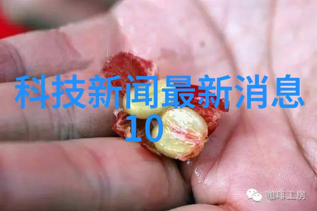探究小加工厂在现代制造业中的应用与挑战基于厂里拿货开启的实践研究