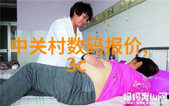 巨型租赁视频平台的崛起与挑战