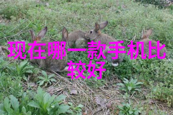 化工反应釜车间图片-安全操作的精妙之处探索化学变化的舞台