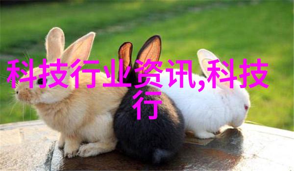 输送机械设备物流效率的关键驱动者