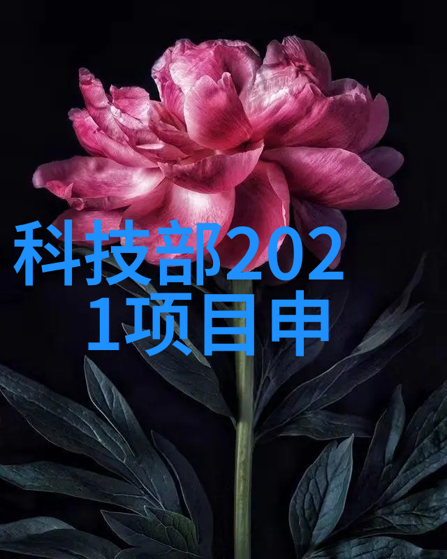 大型净水设备安装流程-巨龙之舞大型净水设备的精准安装艺术
