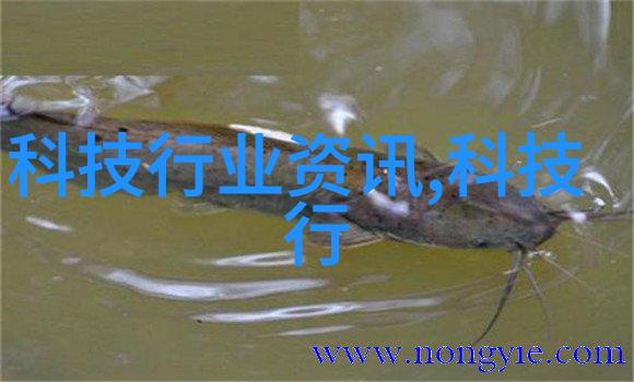 不锈钢化工反应罐-高效稳定不锈钢化工反应罐在化学生产中的应用与优势