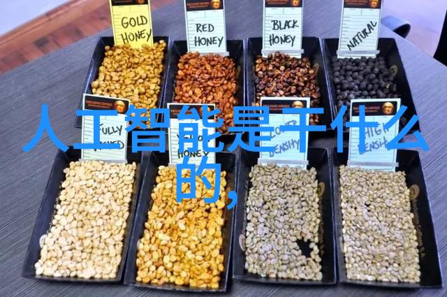 现代简约与复古温馨新房装修风格设计的双重魅力探索
