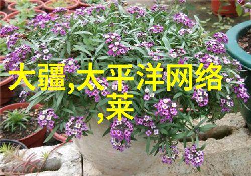 无缝之谜不锈钢管的秘密