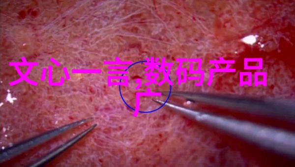 饮水机之谜小区深夜的清泉