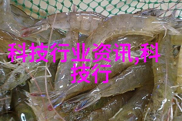 工艺之美铸就不锈钢艺术的精彩瞬间