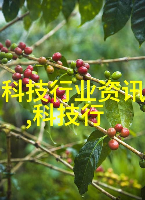 PE管材厂家专业生产聚乙烯管材供应商