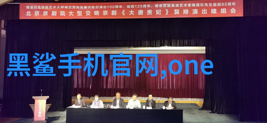 一个声名狼藉的beta我的编程噩梦