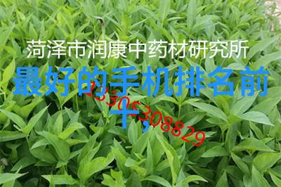 高效能蒸发技术探索板式蒸发器的应用与创新