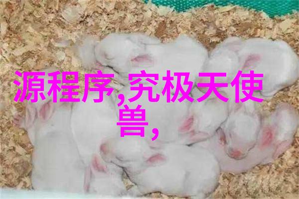 山东财经大学官网你的学习新旅程从这里启航