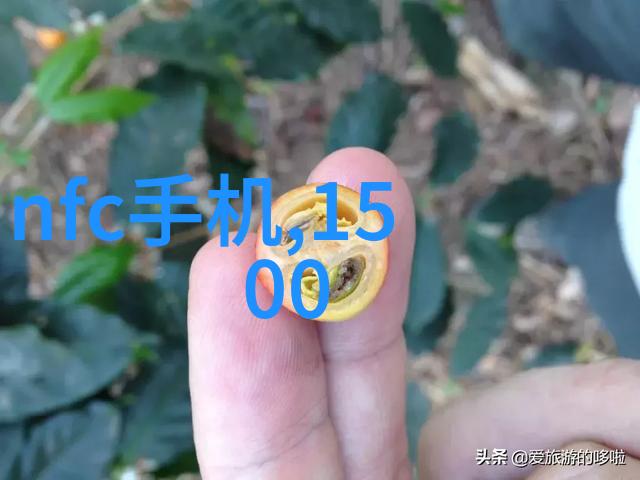 彩色梦想水帘柜的绚烂变身