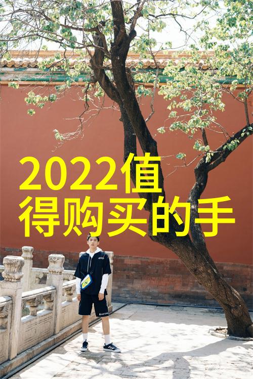 音准之美探索乐曲中的节奏与和谐