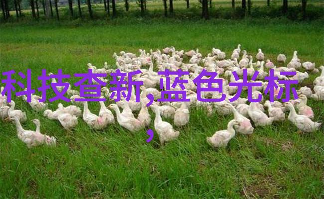 高速混合搅拌过程中的物料传递机制是怎样的