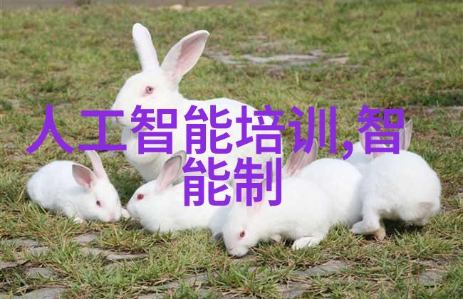 数字之波应用市场的官方下载安装