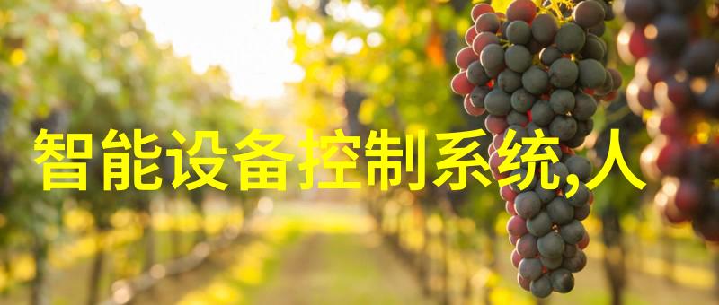 化工压力仪器精准测量安全保障探索高效的工业监测技术