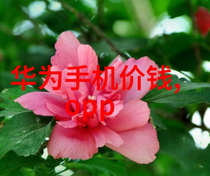 探险-老师迈开腿让尝尝你的森林一场自然的奇遇