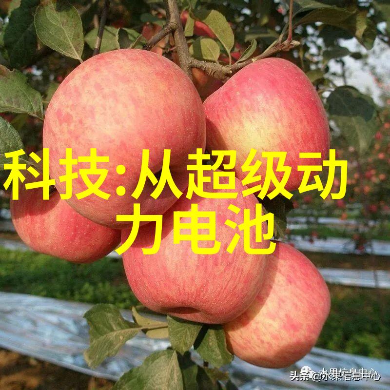 AI奇幻旅途白鹿的梦境与WWW喷泉