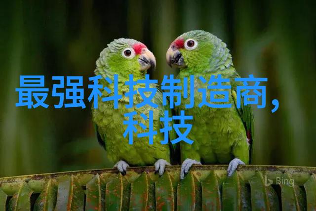 Flash漏洞频发 可远程安装恶意软件