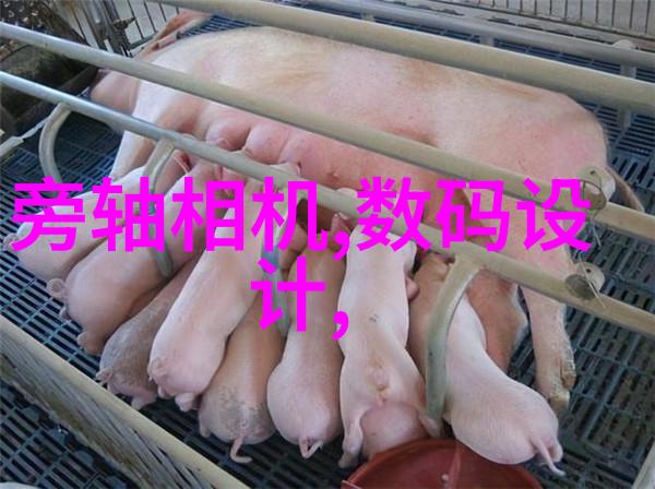 机器人-智能机械的新时代 探索自动化与人工智能融合的未来世界